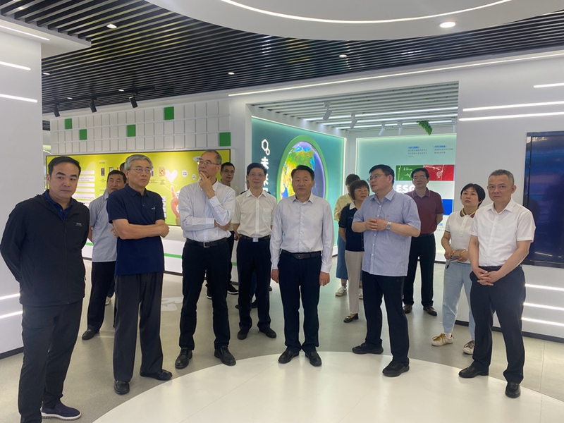 虞爱华率调研组来公司开展专题调研
